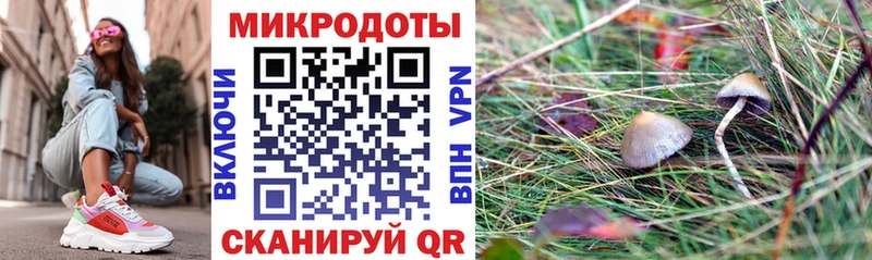 Псилоцибиновые грибы ЛСД купить наркотик Новочеркасск