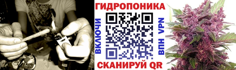 Канабис сатива  Новочеркасск 